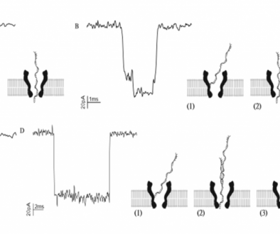 nanopore2