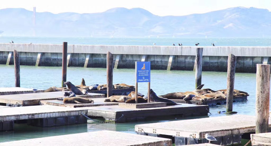 Fisherman's Wharf