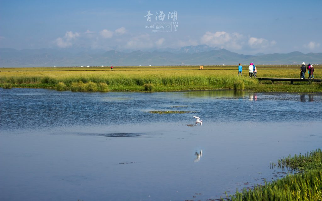 wetland reserve